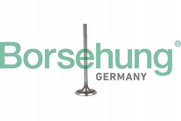 фото №3, Клапан всмоктуючий fab iii,citigo, oct iii,kar,r