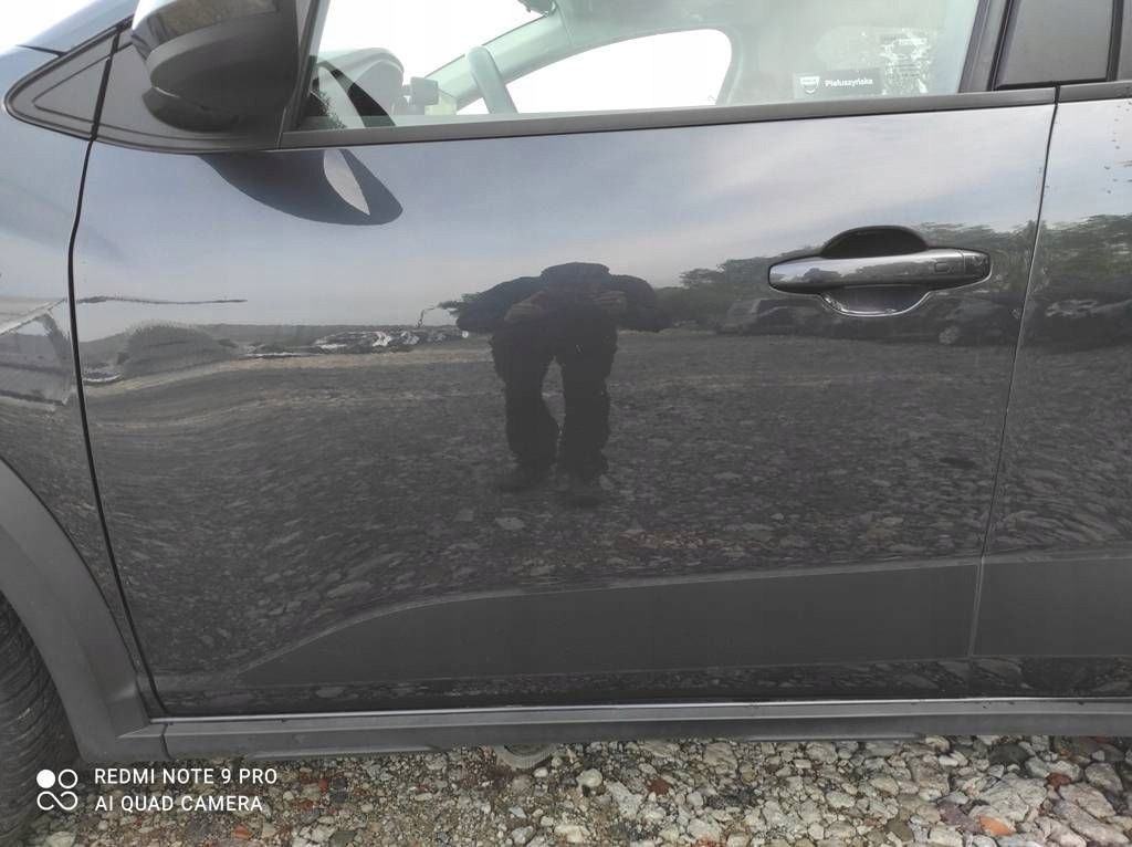 фото №1, Dacia sandero iii stepway 20-25 дверь передние левая перед цвет tekna