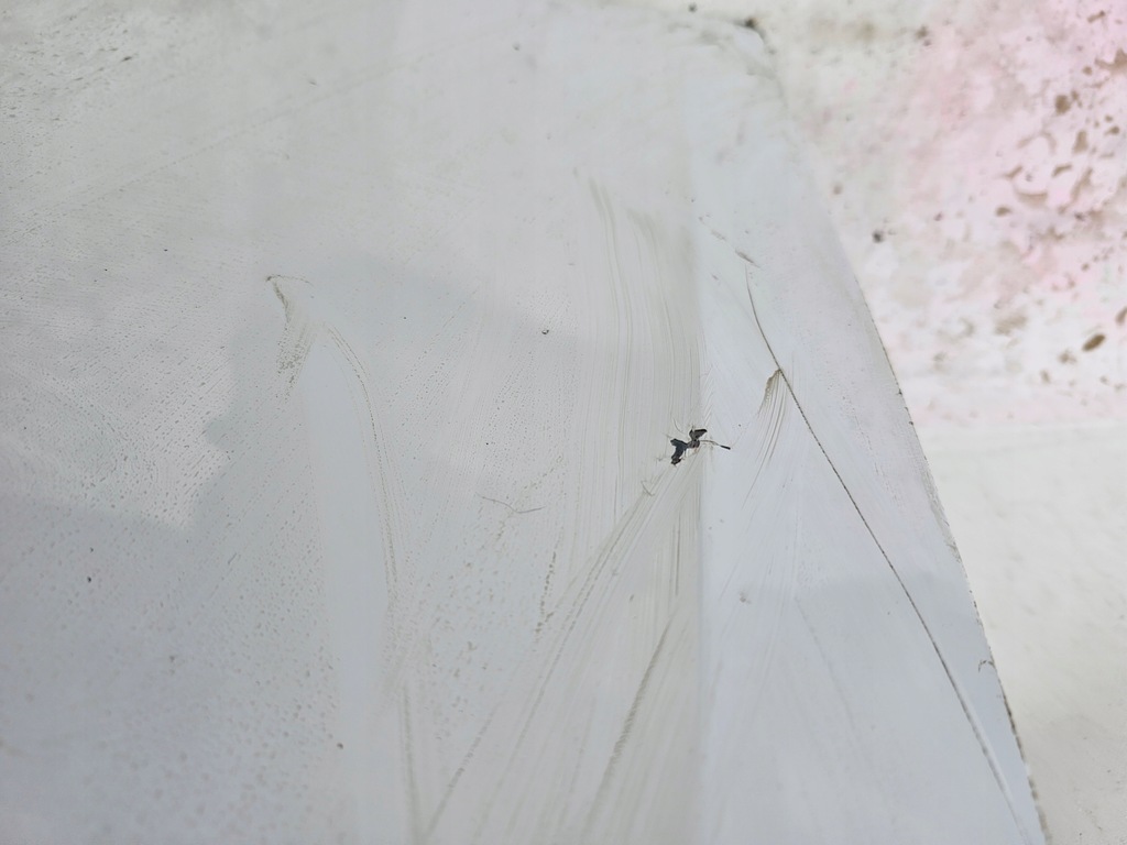 фото №10, Капот renault master iii lift 2014-2019 оригінальна