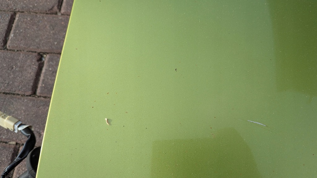 фото №5, Двері передні ліва daihatsu materia