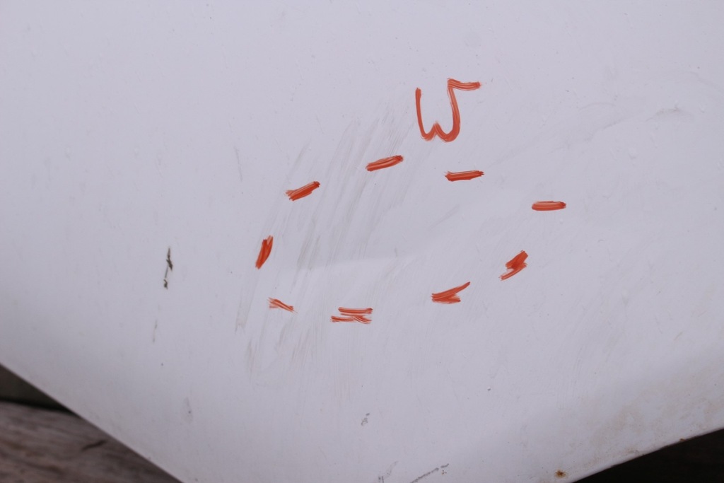 фото №7, Дверь левый перед nissan cabstar 02r.