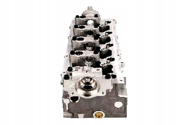 фото №3, Ashika головка