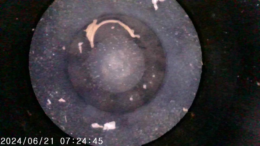 фото №9, Двигун jaguar xf ii x260 204dtd 2.0d film