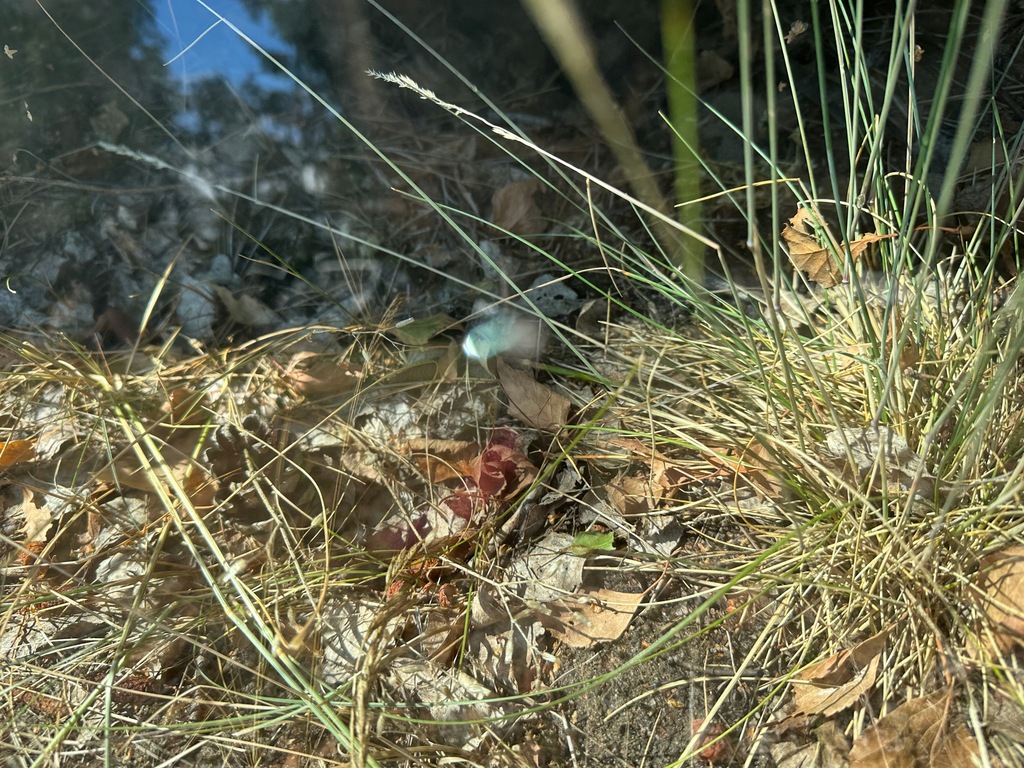 фото №5, Стекло лобовое hyundai ix35 2010-2015 датчик подогрев