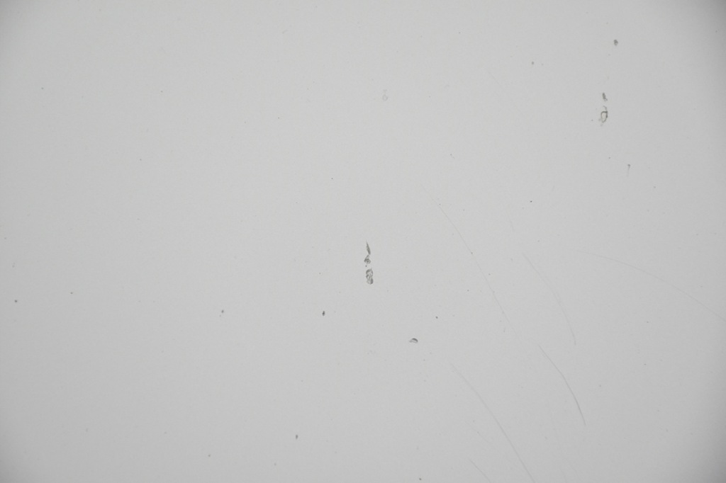 Капот крышка двигателя lexus is 2 xe20 с Разборки