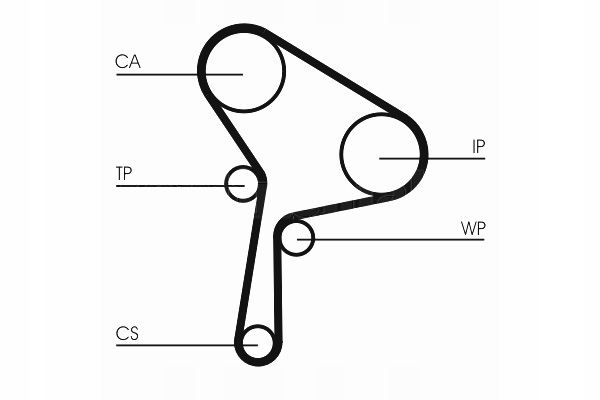 фото №3, Continental ct1150 ремень распределительного вала
