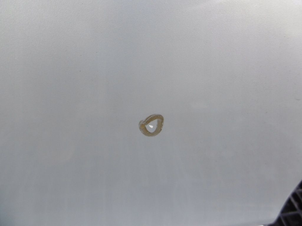 фото №11, Двері правий перед передні 443-46 volvo s80