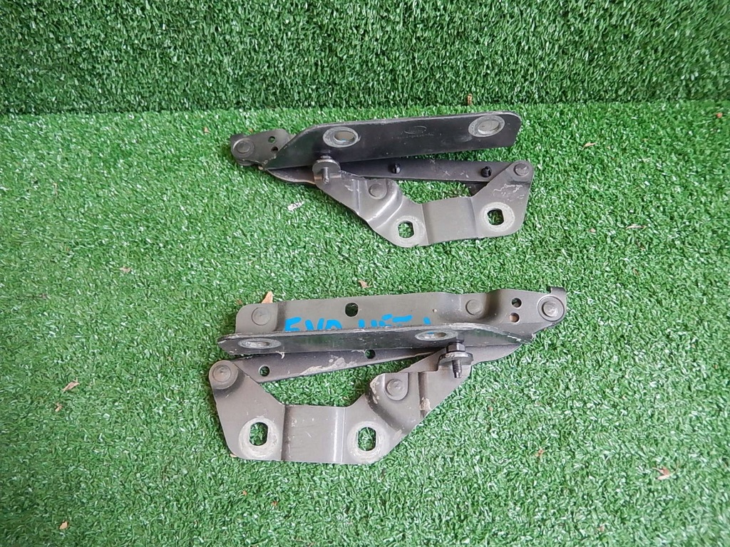 фото №1, Петля капот evoque lift лівий