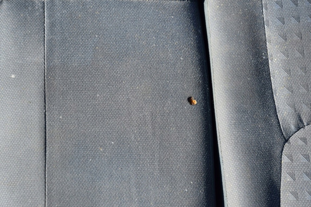 фото №4, Honda civic vii hb 5d заднє сидіння задня