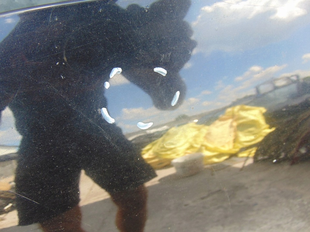 фото №10, Капот кришка двигуна vw touran 1 lift 2006-