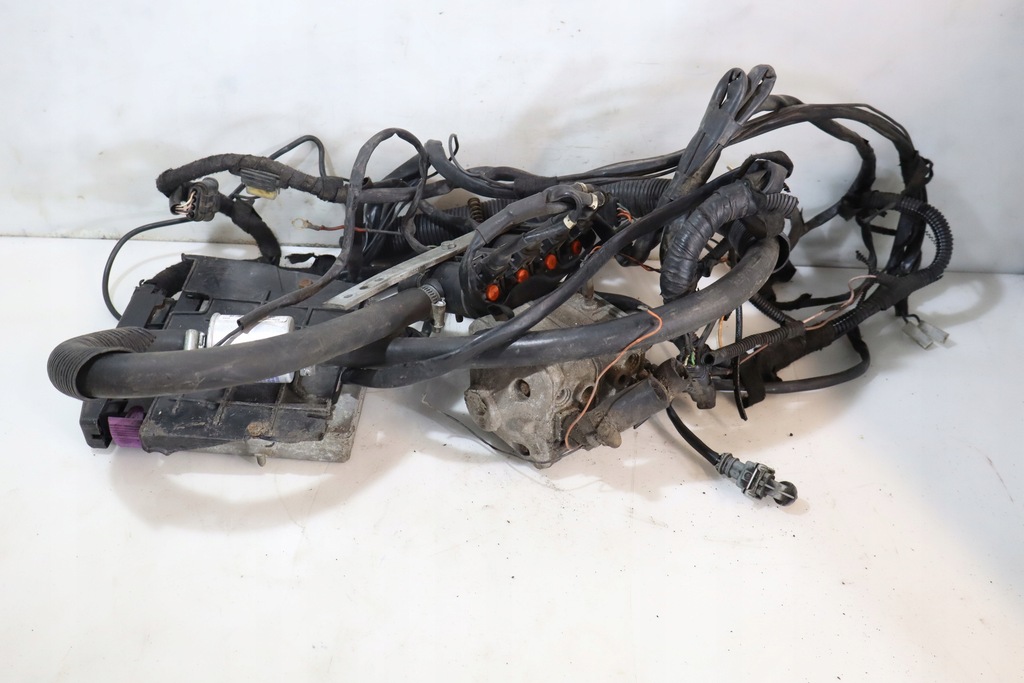 фото №1, Электропроводка lpg renault clio iii 1.4 16v