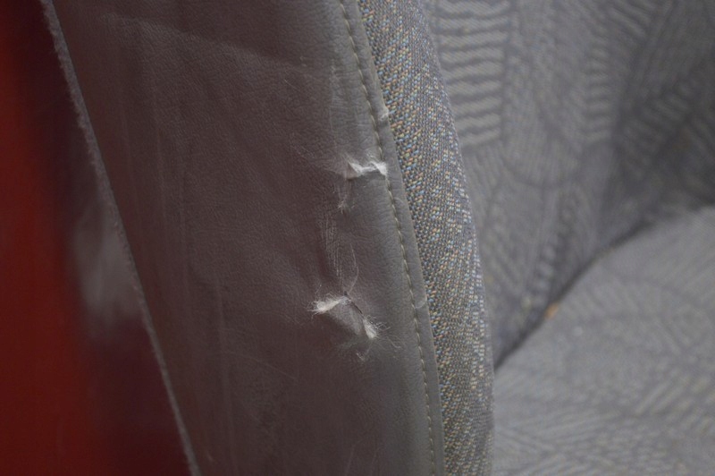 фото №7, Сиденье правый пассажира двойной eu ford transit 5 v 00-06