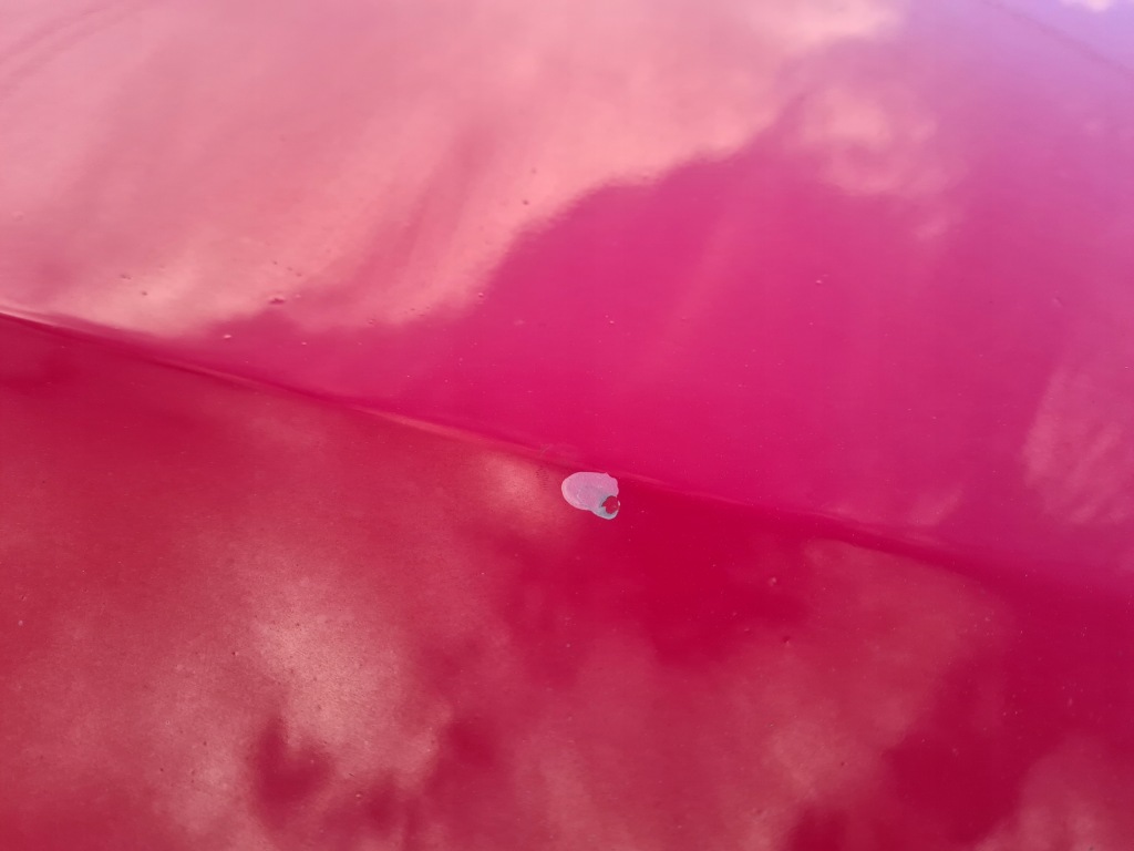 Капот кришка двигуна opel astra j gtc z50b в Україні