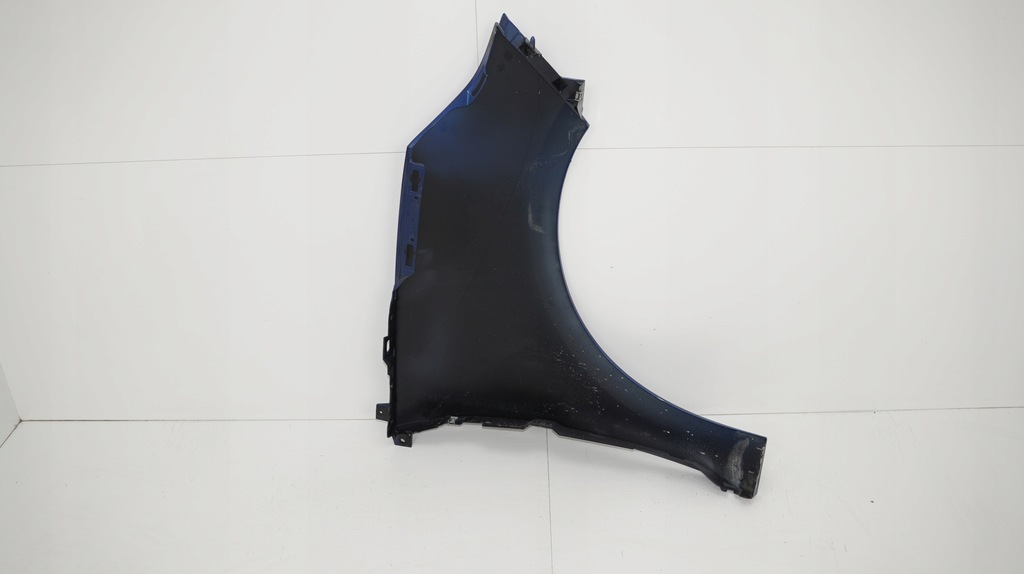 фото №9, Крила лівий перед renault scenic iii 3 09-13r terna