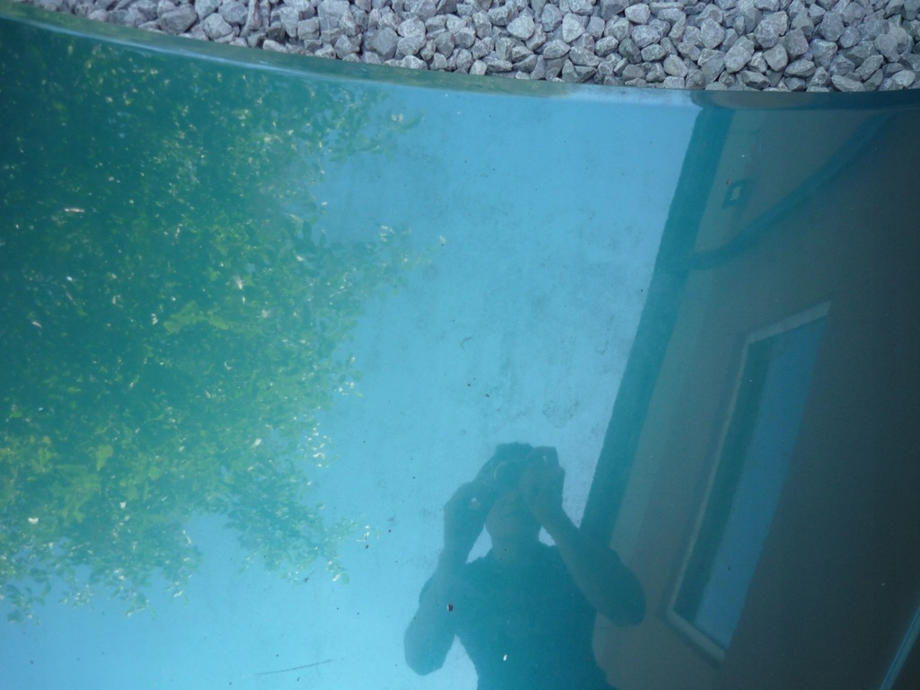 фото №7, Капот крышка передняя ford galaxy mk2 lift