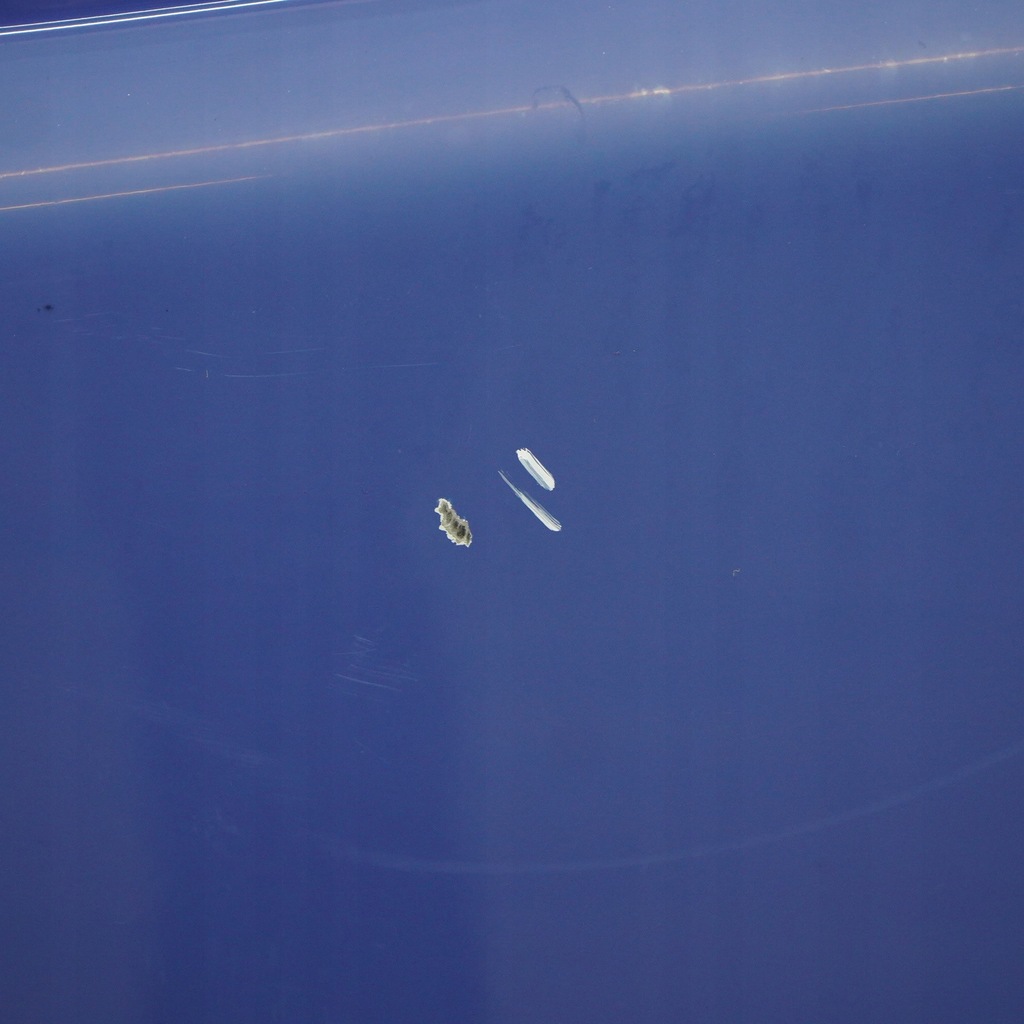 фото №14, Opel vivaro a двері ліва передні ink blue - 2k