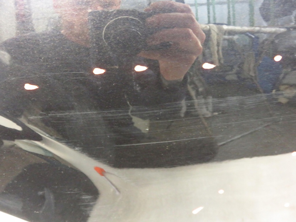 фото №12, Двері правий задня seat leon ii lc9z