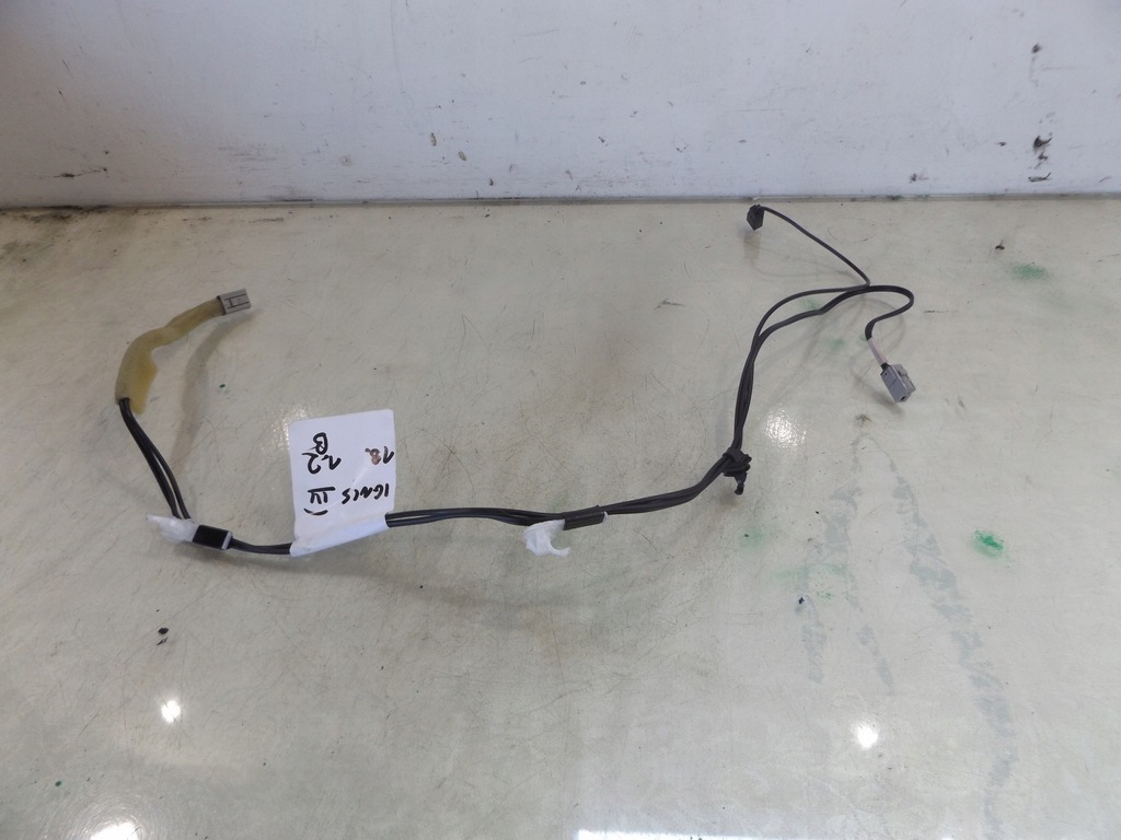 фото №2, Ignis iii джгут