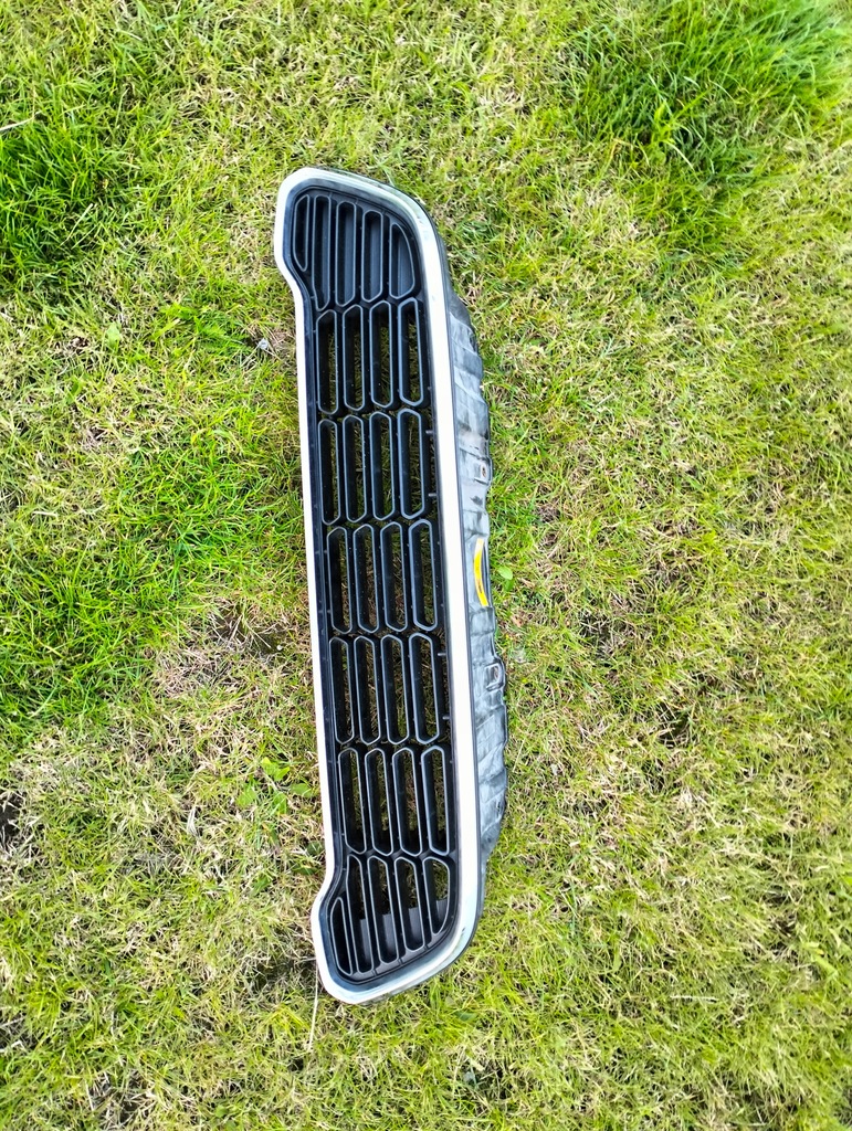 фото №1, Решётка радиатора решётка радиатора mini coutryman cooper s r60