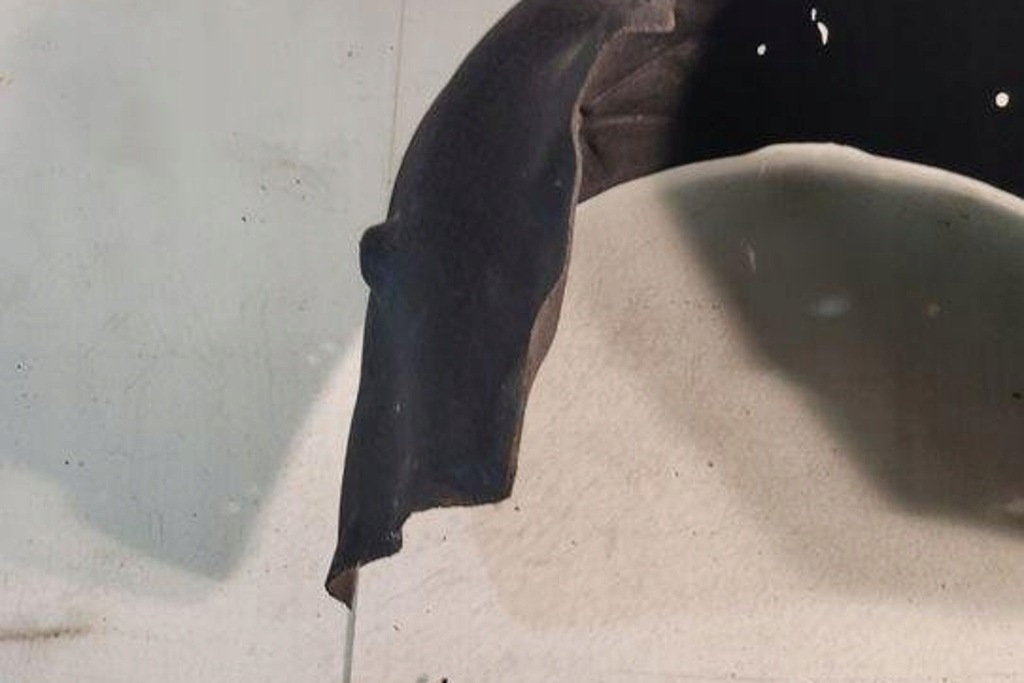 фото №15, Подкрылок левая задние bmw 3 g20, g28 7340929 3.0l бензиновый 285kw 2020