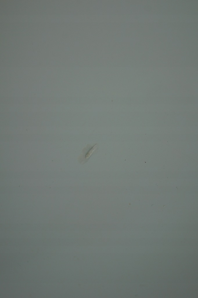 фото №8, Крила лівий перед fiat doblo ii