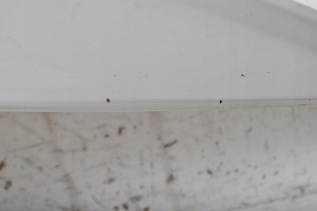 фото №6, Volvo c30 крила правий перед передній