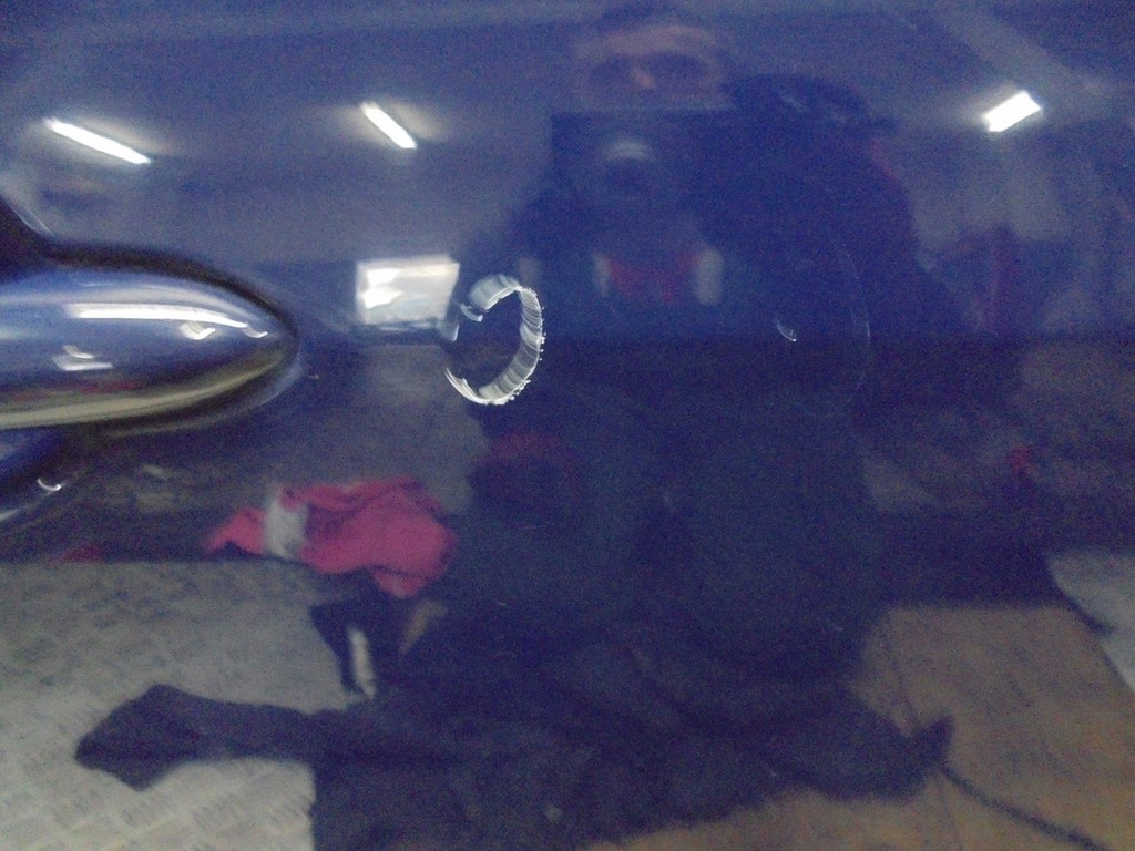 фото №5, Двері правий перед renault scenic ii dv460