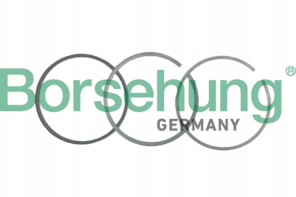 фото №6, Кольца поршня org caddy golf jetta passat 1.9