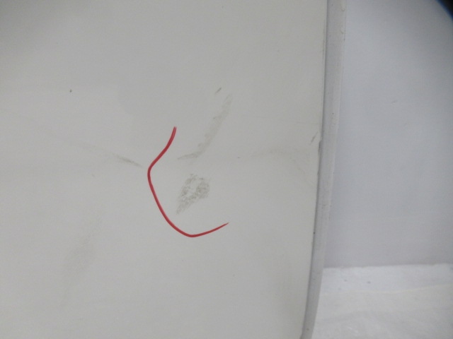 фото №8, Citroen c3 iii дверь правое задние ewpb