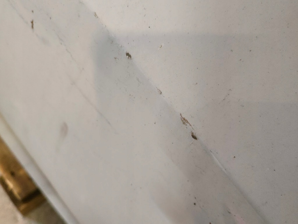 фото №7, Двері передні правий перед bmw 3 g20