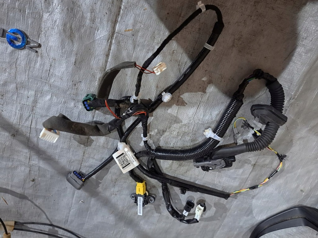 фото №1, Nissan leaf ii джгут електропроводка двері перед права