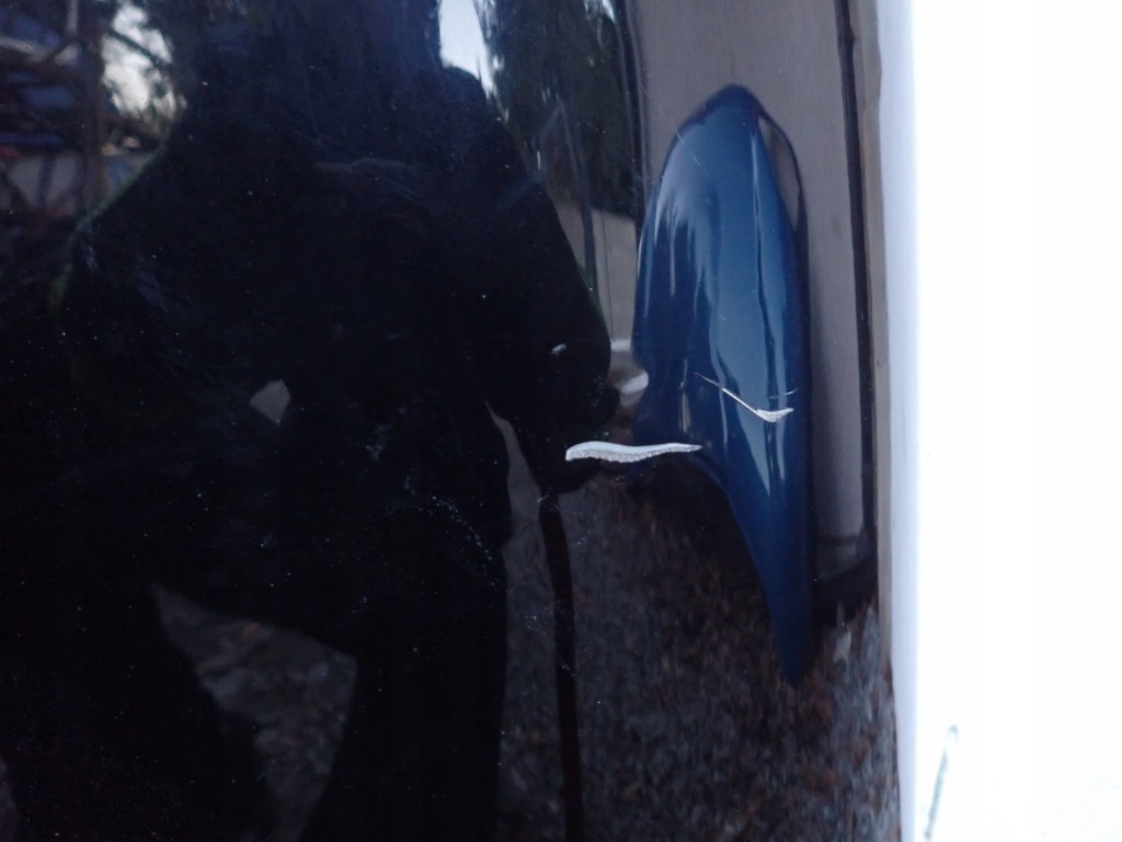 Капот крышка двигателя mini cooper s r56 r55 r57 Недорого