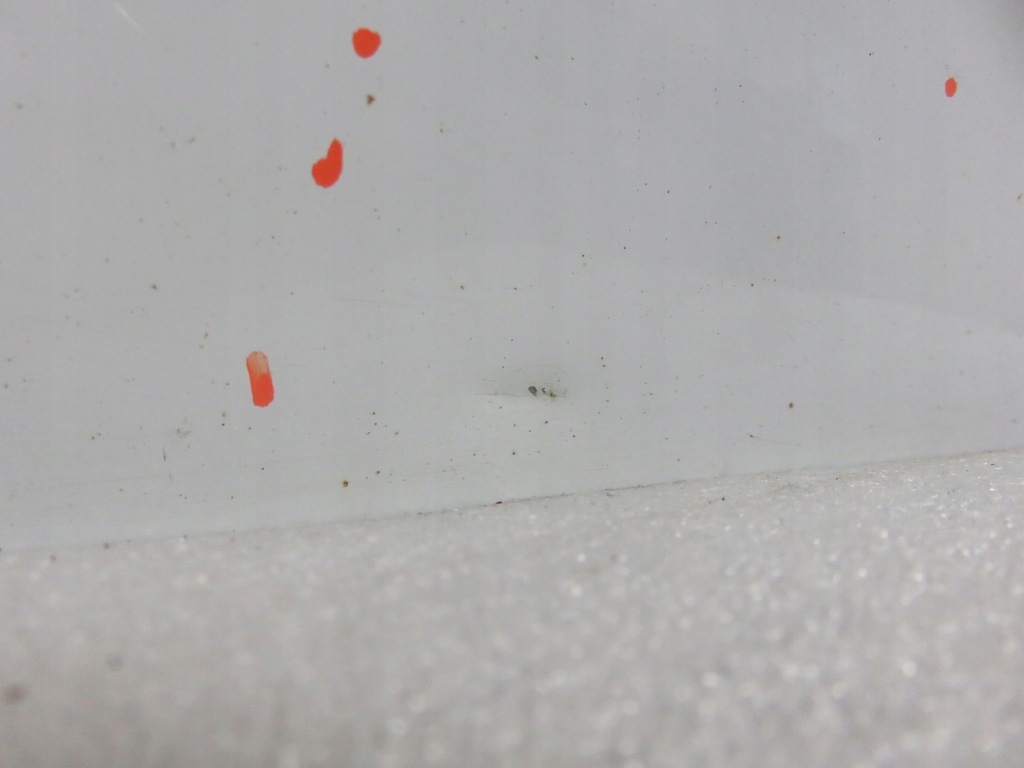 фото №6, Дверь левая задние renault kangoo express ii