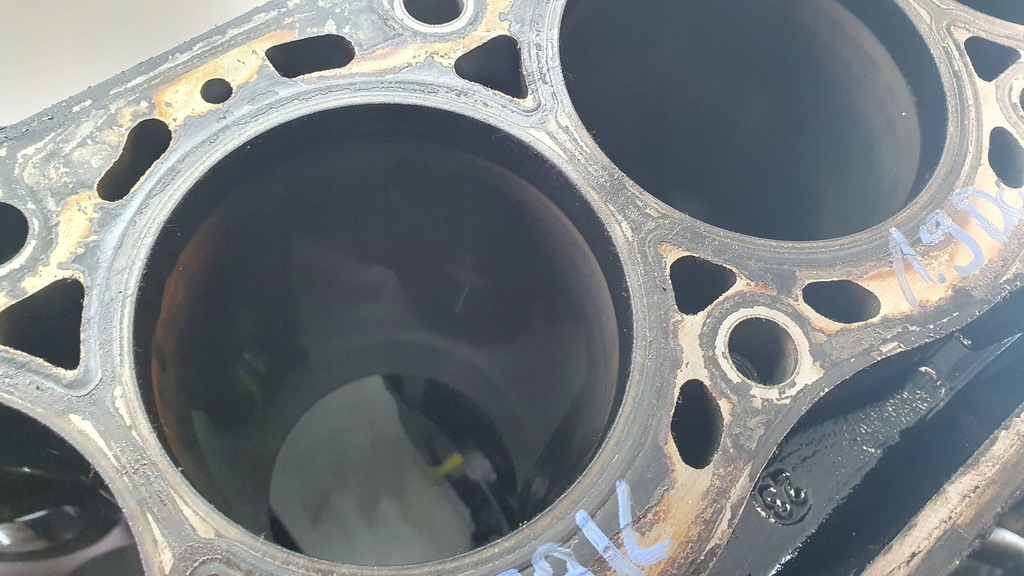 фото №5, Suzuki grand vitara ii 06- 1.9 ddis f9k блок двигателя номинальный