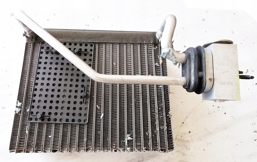 фото №1, Ssangyong rexton i обігрівач