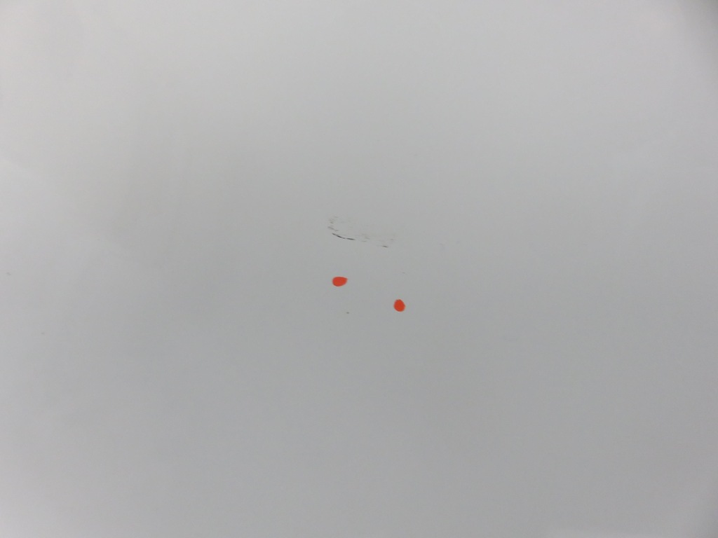 фото №6, Дверь левая передние iveco daily vi фургон