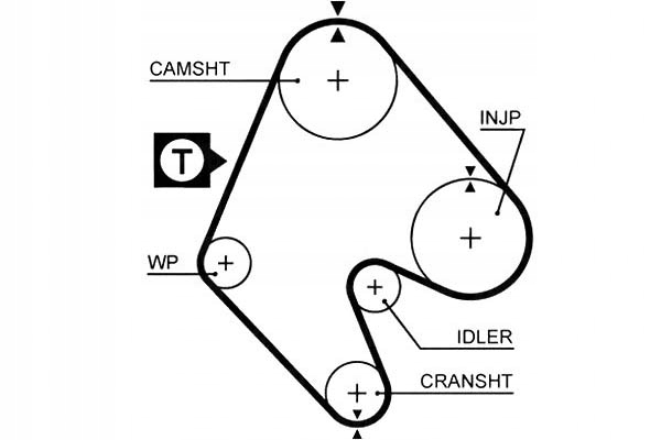 фото №9, Ремень распределительного вала gates 5048