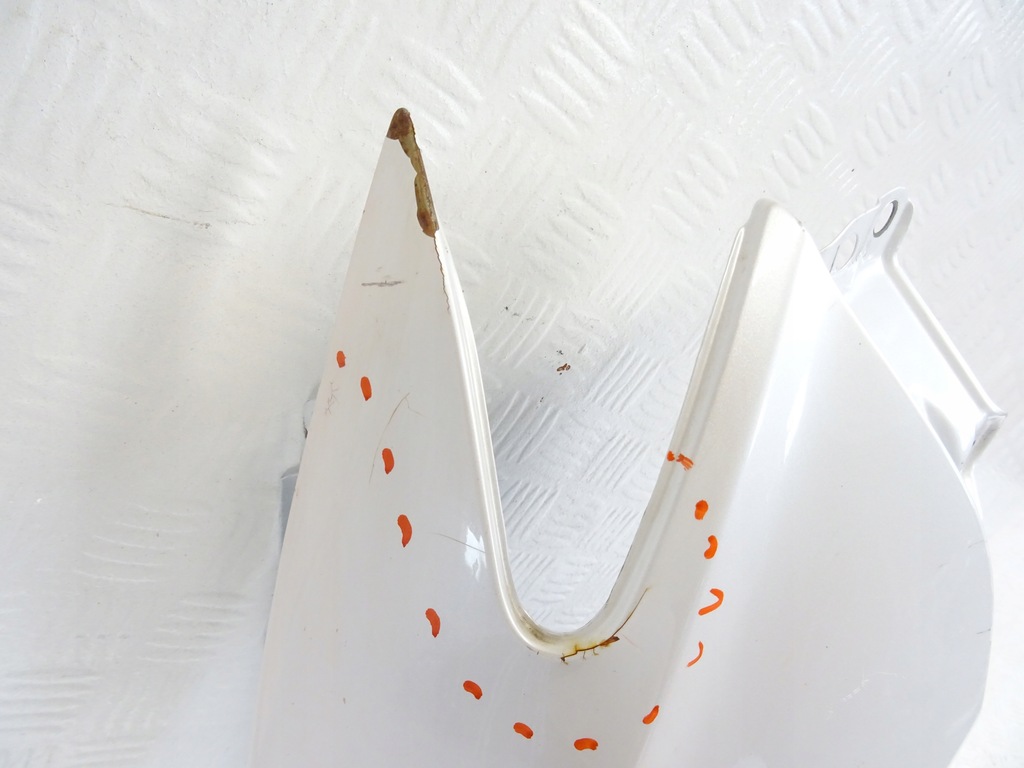 фото №3, Lexus rc правый крыло перед передний