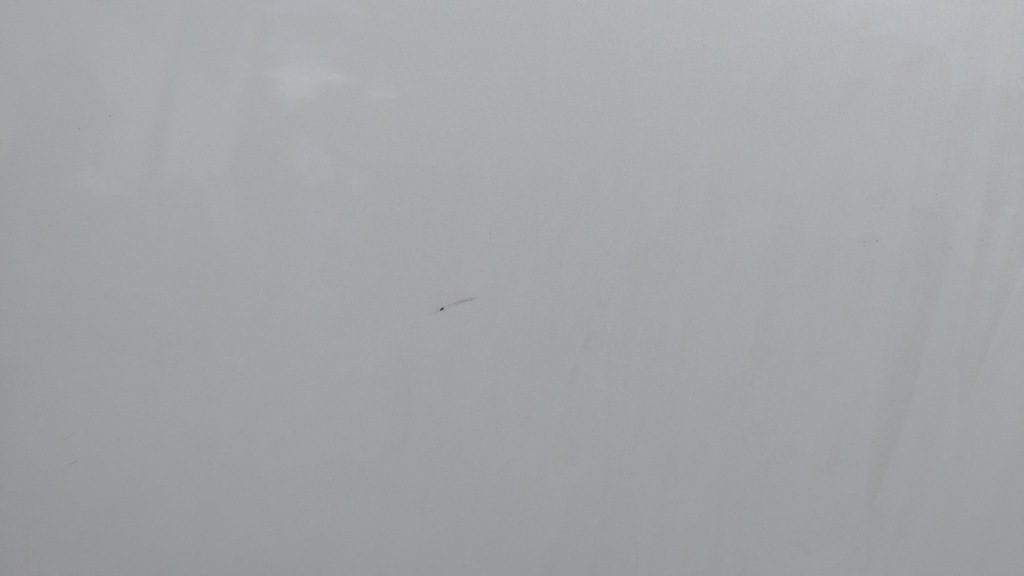 фото №3, Tesla model 3 двері праве задні правий задня