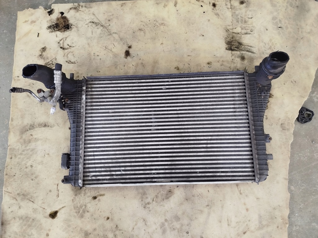 фото №1, Радіатор повітря інтеркулер seat leon 1k0121345n