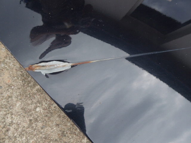 фото №13, Audi a6 c5 дверь задняя задние правое sedan