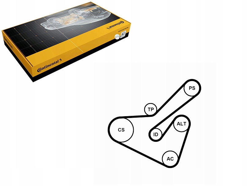 фото №1, Набор ремни многоручейковых с ролики citroen xsara xsara picasso