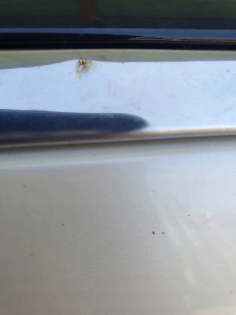 фото №7, Opel ampera дверь правое правый задняя задние