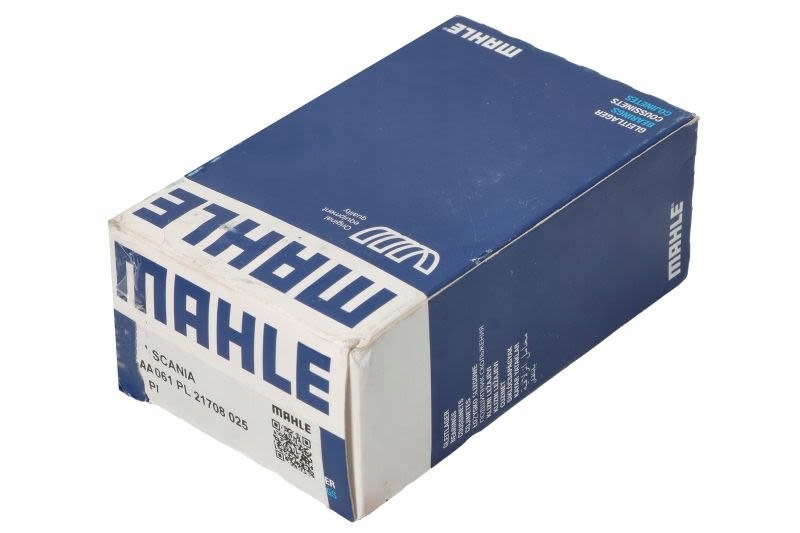 Купити Вкладиші шатунні mahle 061 pl 21708 025