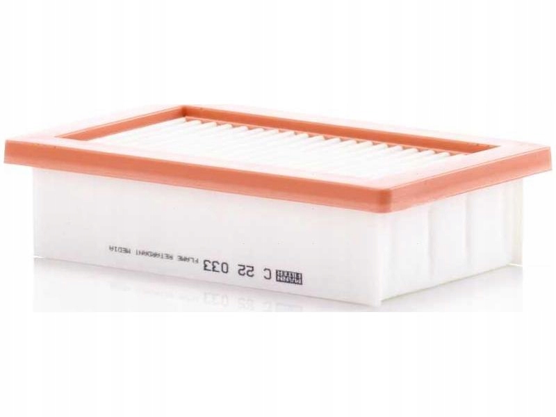 Купить Фильтр воздуха mann c22033