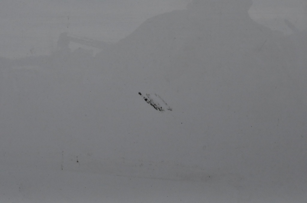 фото №11, Ford s-max двері лівий перед ліва передні