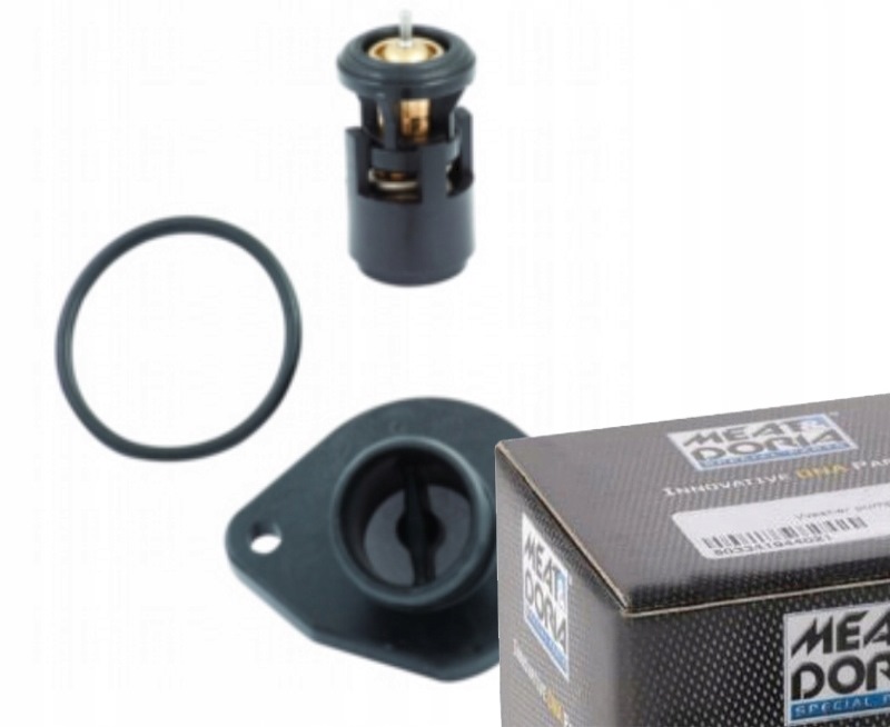 фото №1, Термостат do seat toledo iii 1.9 tdi