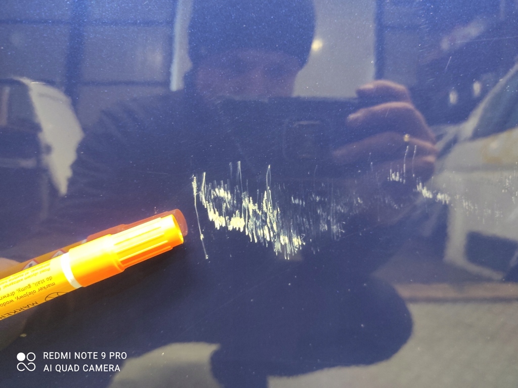 фото №10, Двері ліва перед citroen nemo peugeot bipper