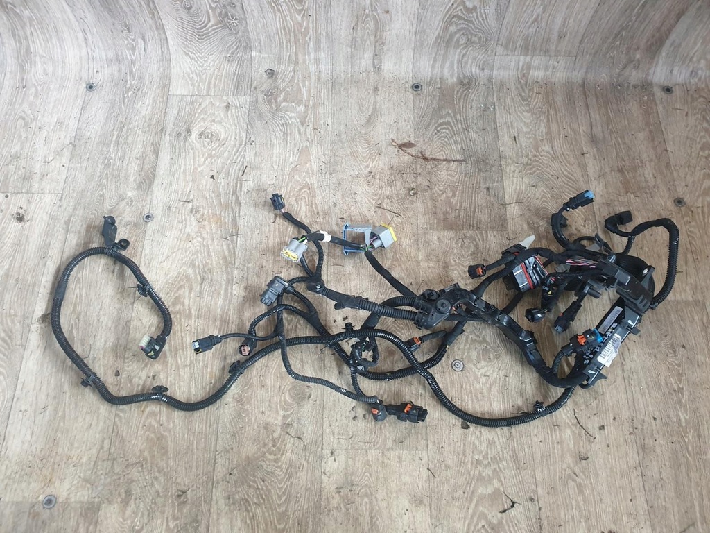 фото №1, Электропроводка электрическая двигателя rifter 1.5 hdi