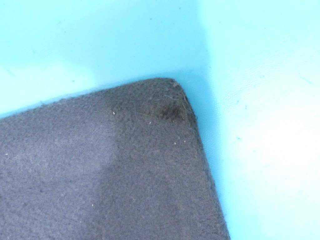 фото №7, Полиця багажника задня opel meriva a 02-10